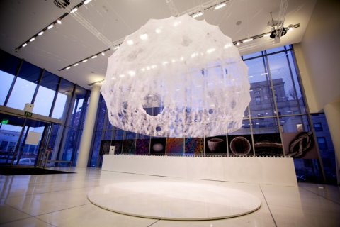 Silk Pavilion / MIT Media Lab