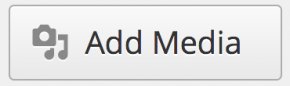 Add Media button