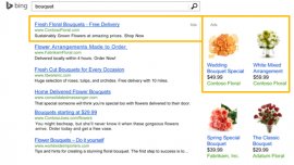 Bing product ads