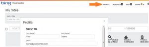 Bing Webmaster Tools Profile