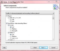 media player formats
