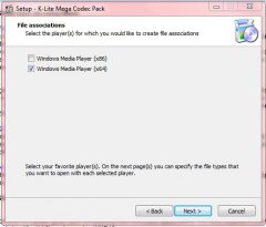 media player formats2