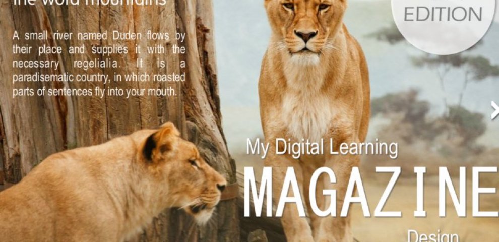 Learning Magazine
