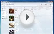 Download Windows Media Player 12 Full Version