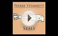 Pierre Stemmett - Shallow Love (Official Audio)
